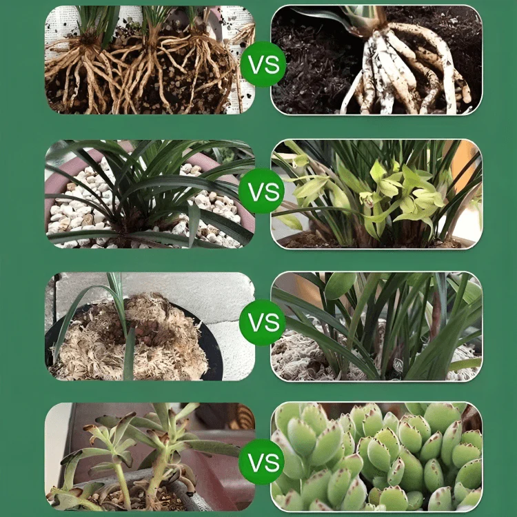 BotanicBoost™ | Biotininfunderat Växtåteruppståndelselixir - Image 2
